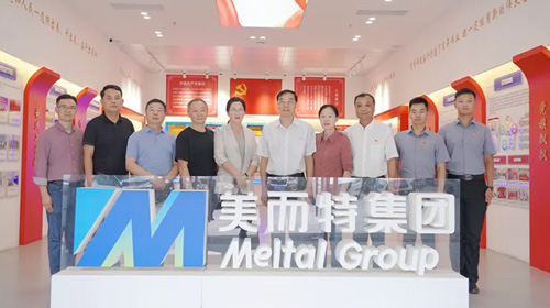 省市有关单位领导调研美而特党建