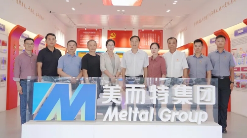 省市有关单位领导调研美而特党建