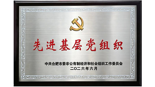 双誉加身 党建赋能｜美而特党支部一年两获市级先进基层党组织表彰